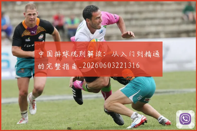 中国排球规则解读:从入门到精通的完整指南_20260603221316